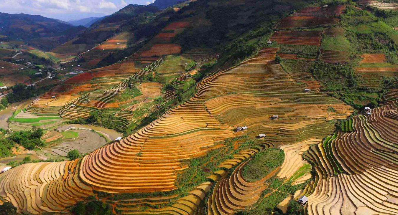 Doan-Tuan-Unsplash-rice-terraces