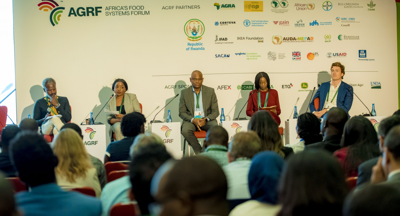 Catherine AGRF Digital Panel