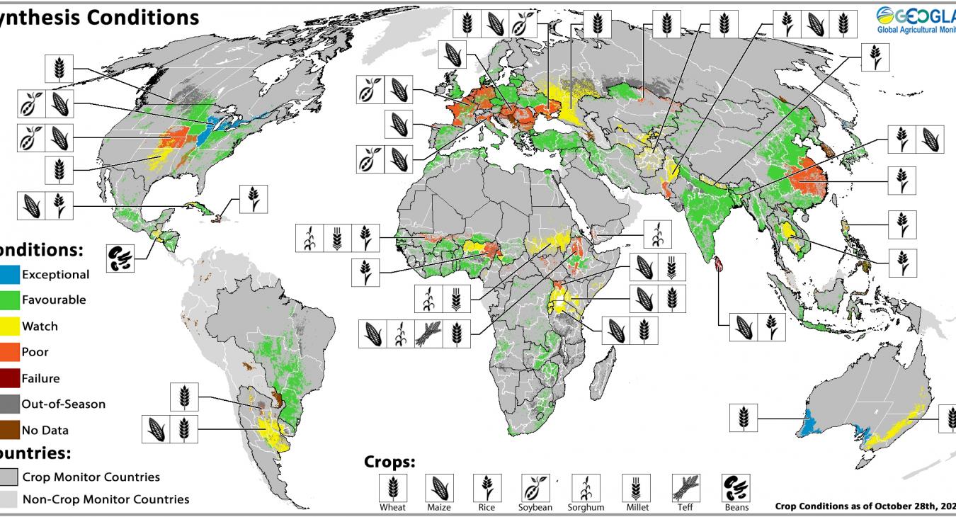 Crop Monitor for AMIS