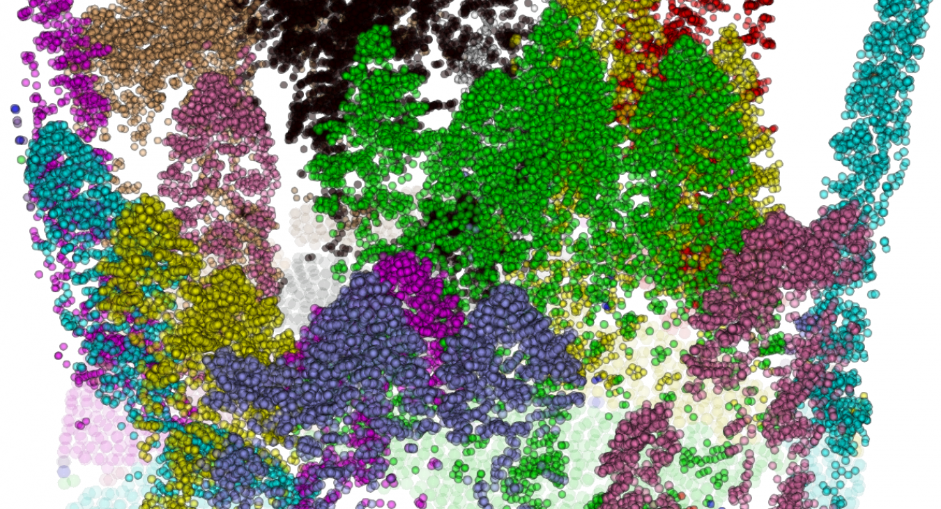 LiDAR tree point cloud