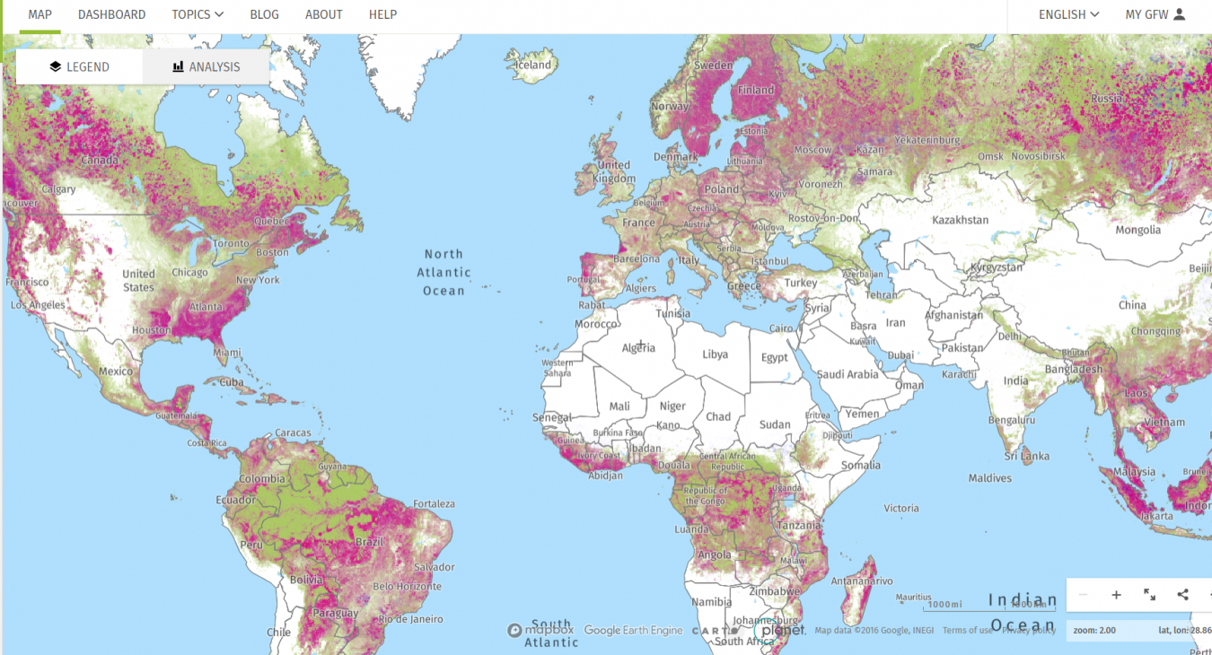 Global Forest Watch