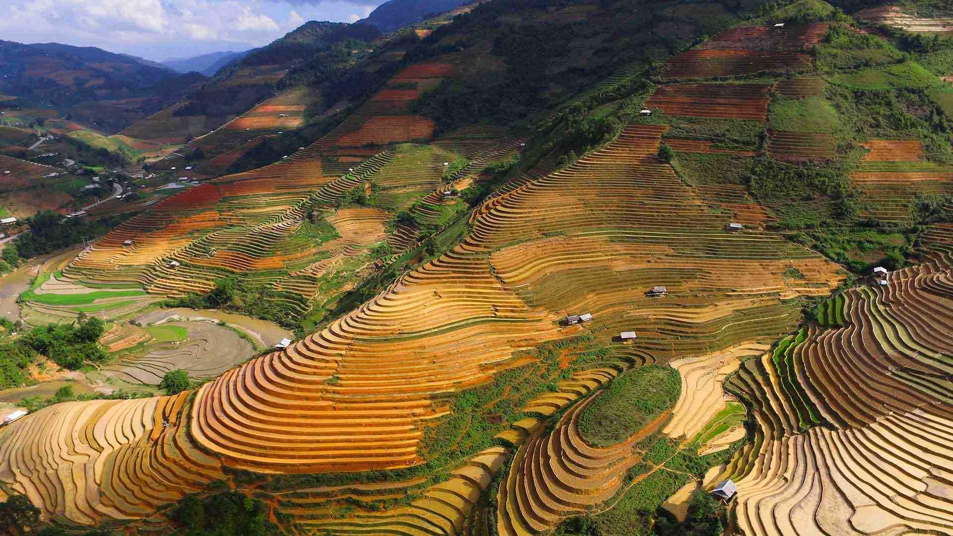 Doan-Tuan-Unsplash-rice-terraces